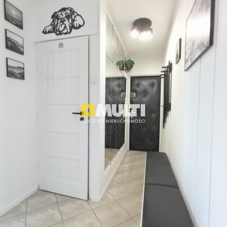 2-pokojowe mieszkanie na wynajem, Pomorzany. - Zdjęcie 3