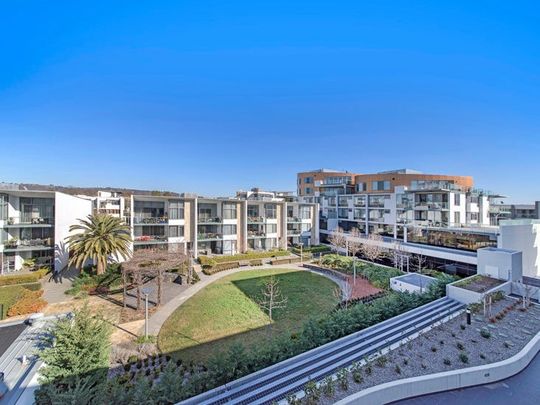 310/50 Eastlake Parade, Kingston ACT 2604 - Studio For Rent | Domain - Photo 1