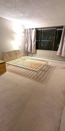 2 Bed 1 Bath Spacious Lougheed Apartment - Skytrain/SFU/Dog-Friendly - Photo 1