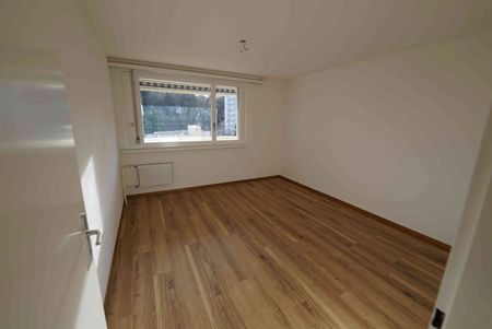 2.5 Zimmer, 63 m², 9. Stock - Photo 2