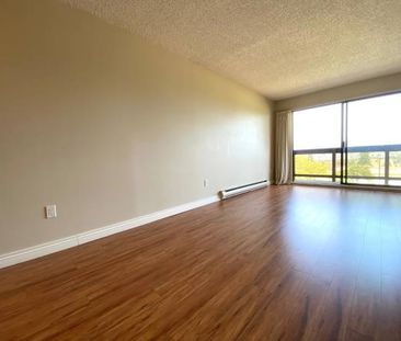 Cozy Spacious 2 Bedroom Apartment Available from March - Photo 1