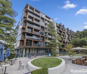 315/1 Elouera Street, Braddon ACT 2612 - Apartment For Rent | Domain - Photo 6