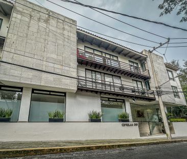 Álvaro Obregón, Ofelia, Ciudad De México - Photo 4