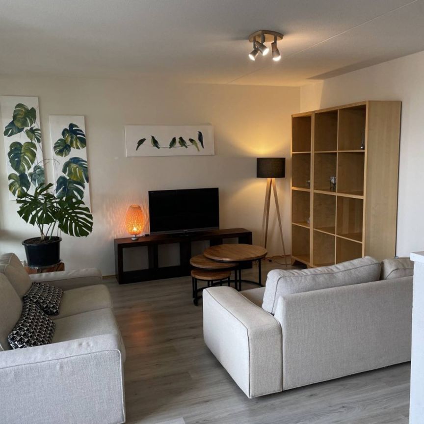 Omval, furnished beautiful 2 bedroom apt, view Amstel River - Photo 1