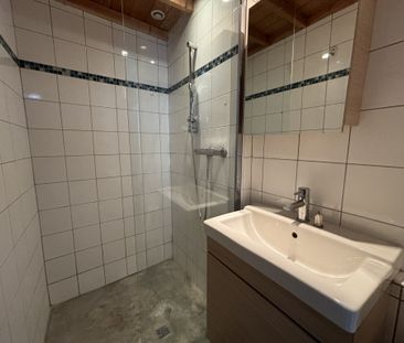 Location Appartement 1 pièce 26m² REIMS 51100 - Photo 4