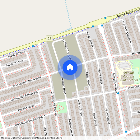 62 Willow Street Unit# Basemen, Markham