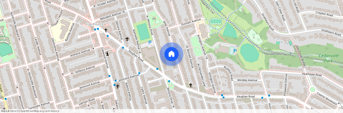 314 Atlas Avenue Unit# Lower, Toronto