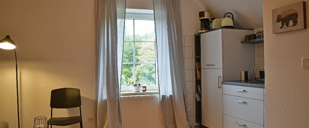 Springe, Hannover Region Südwest, 1 Zimmer Apartment - Foto 1