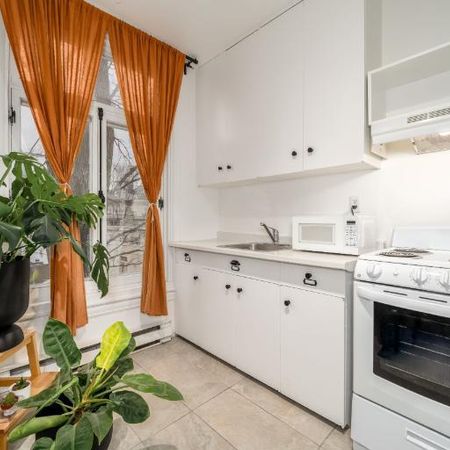 Appartement 3 ½ à louer Montcalm / Saint-Sacrement juillet 2026 - Photo 3