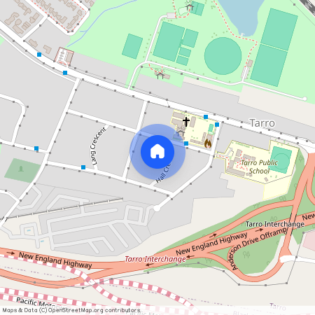 5 Hall Crescent, NSW 2322, Tarro