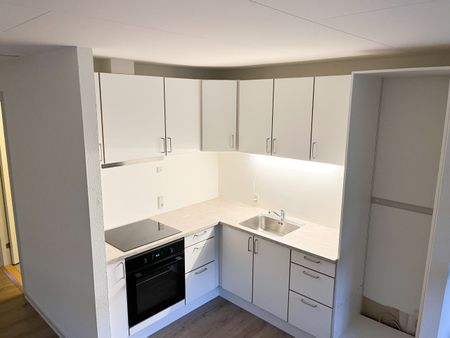 Hyggeligt 1-værelses rækkehus med egen have - Photo 5