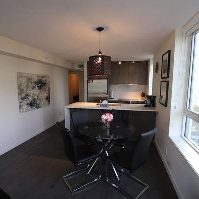 Bright, Spacious, Furnished 1 Bed 1 Bath Apartment Rental, Downtown - Photo 4