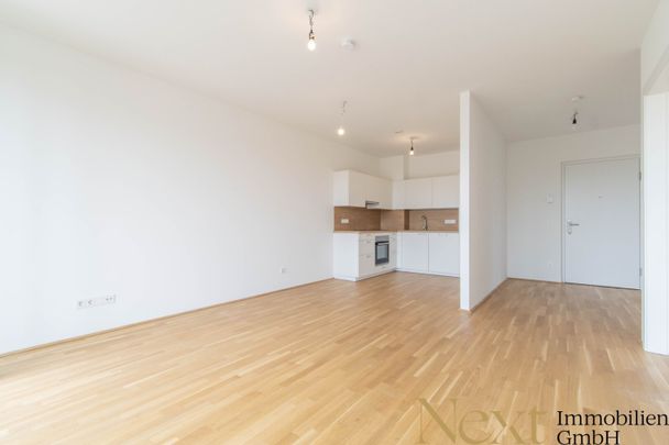 Gut ausgestattete 2-Zimmer-Wohnung mit gemütlichem Balkon in Linz nähe Hummelhofwald zu vermieten! (Top 2.09) - Photo 1