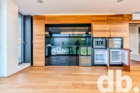 Pronájem bytu 1+kk 70 m - Fotografie 3