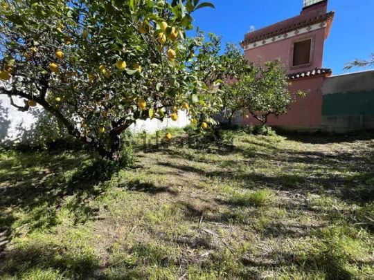 Alquiler de chalet pareado en Paraje Pedregales-Polvitos, 38 - Photo 1
