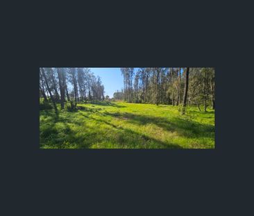 29 Roman Street, Leppington, NSW 2179 - Photo 2