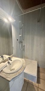 Location Appartement 1 pièce 22m² VOGLANS 73420 - Photo 3