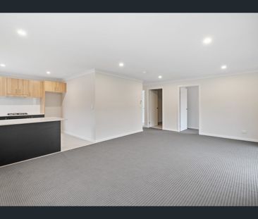3/267 Denton Park Dr, Aberglasslyn, NSW 2320 - Photo 3