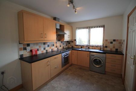 23 Burn Brae Court, Banbridge, BT32 4GD - Photo 3
