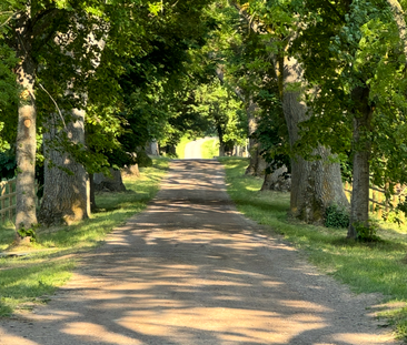 Trolmens egendom, Hällekis - Foto 2