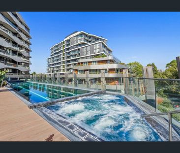 DISCOVER SANCTUARY ON THE RIVER - Photo 5