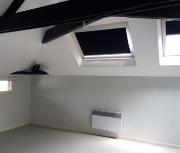 Location Appartement 1 pièce 25m² RENNES 35000 - Photo 5