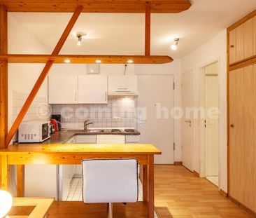 Modern Single living - Photo 5