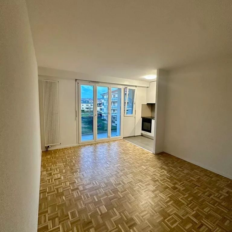 Joli 2 pièces rénové idéalement placé au centre du village - Photo 1