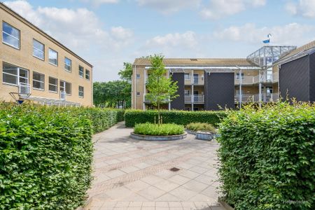 Pæregrenen 19, 5220 Odense SØ - Photo 5