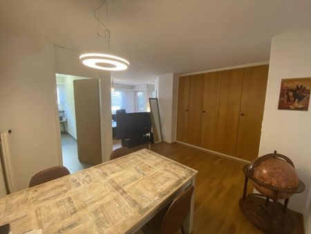 Appartement de charme sur le Zürichberg - LOCATION SANS ACOMPTE - Foto 4