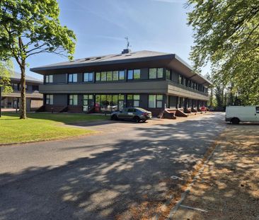 1 bedroom ground floor maisonette to rent - Photo 1