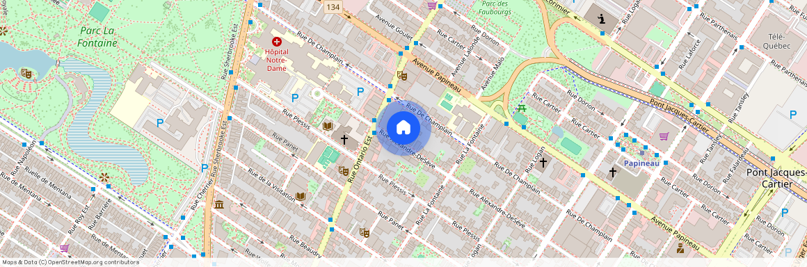 1927 Alexandre-DeSève, #123, Centre-Ville, H2L2W2, Montréal