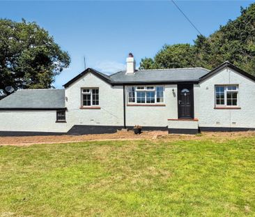 Castle Lane, Exmouth, Devon, EX8 - Photo 4
