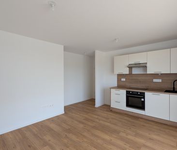 Location Appartement 1 pièce 30m² MITTELHAUSBERGEN 67206 - Photo 3