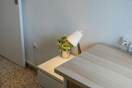 Avinguda de Blasco Ibáñez, Valencia, Valencian Community 46022 - Photo 5