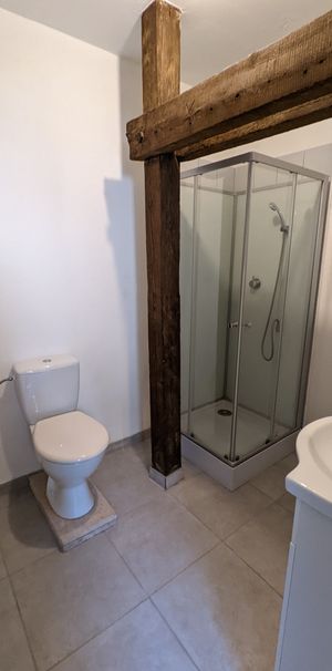 Location Appartement 2 pièces 44m² MULHOUSE 68100 - Photo 1