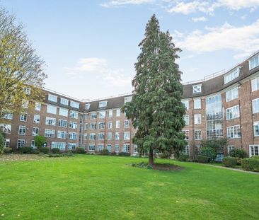 flat to rent - Photo 4