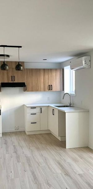 Bachelor au demi-sous-sol d’une maison jumelée, 4 1/2. 1000pi2. - Photo 1