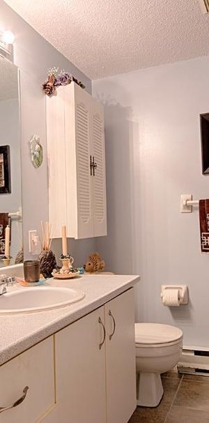 beau grand condo 2 chambres très tranquille 1300 pieds carrés - Photo 1