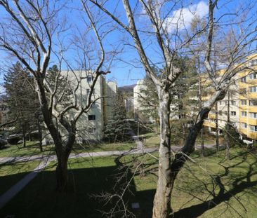 ERSTBEZUG NACH SANIERUNG - 1-Zimmer-Wohnung im 2. Liftstock in Zent... - Photo 3