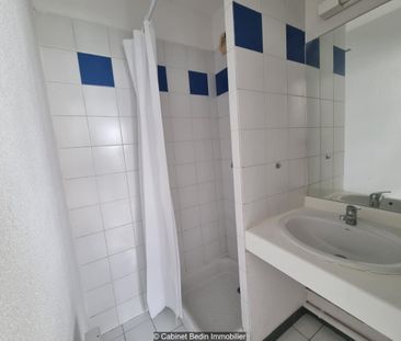 Location Appartement 1 piece Toulouse - Photo 3