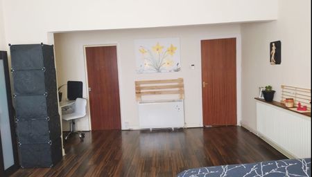 Studio Flat, Villa Road, B19 - Photo 3