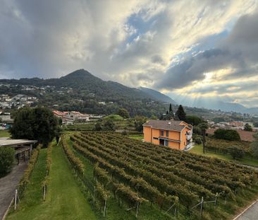 Bel 4.5 loc. in comodissima posizione tranquilla con vista sulle vigne - Foto 1