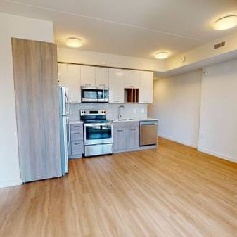 2 Bedroom Apartment - Walnut Place - Hamilton - Photo 3