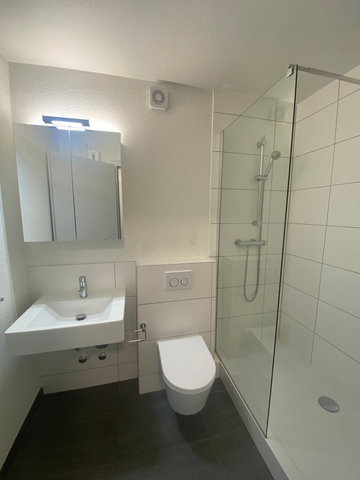 Helle 2.5-Zimmerwohnung im 1. Stock / Mietzinsaktion - Foto 5