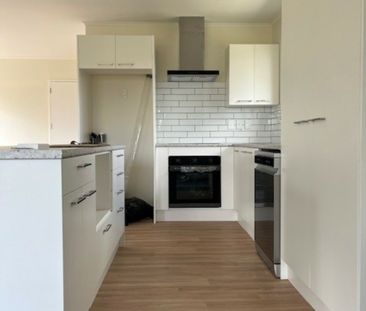 Newly Renovated & Spacious 3 Bedroom Home - Huntly - Photo 1