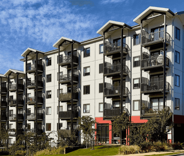 1 Bedroom, 1 Bathroom Apartment in Frankton - Photo 5