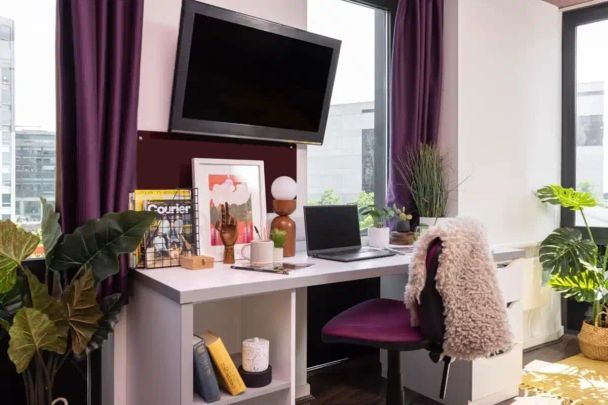 Extra Large Highest Double Studio - Photo 1