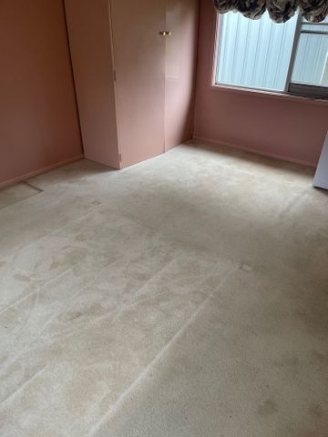 24 Combermere Street - Photo 3