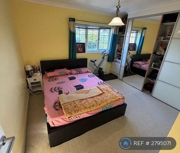 3 bedroom detached house to rent - Photo 3